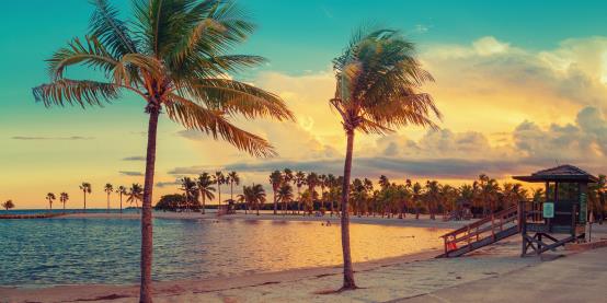 Miami: The Ultimate Coastal City
