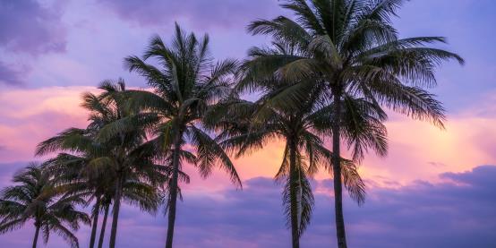 Miami: The Ultimate Coastal City
