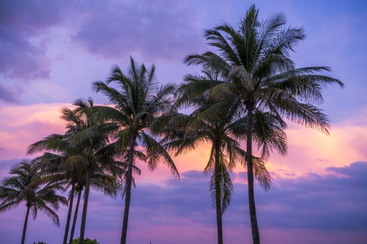 Florida 25,000 Points