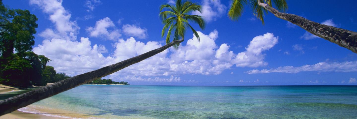 Embrace the Island Life