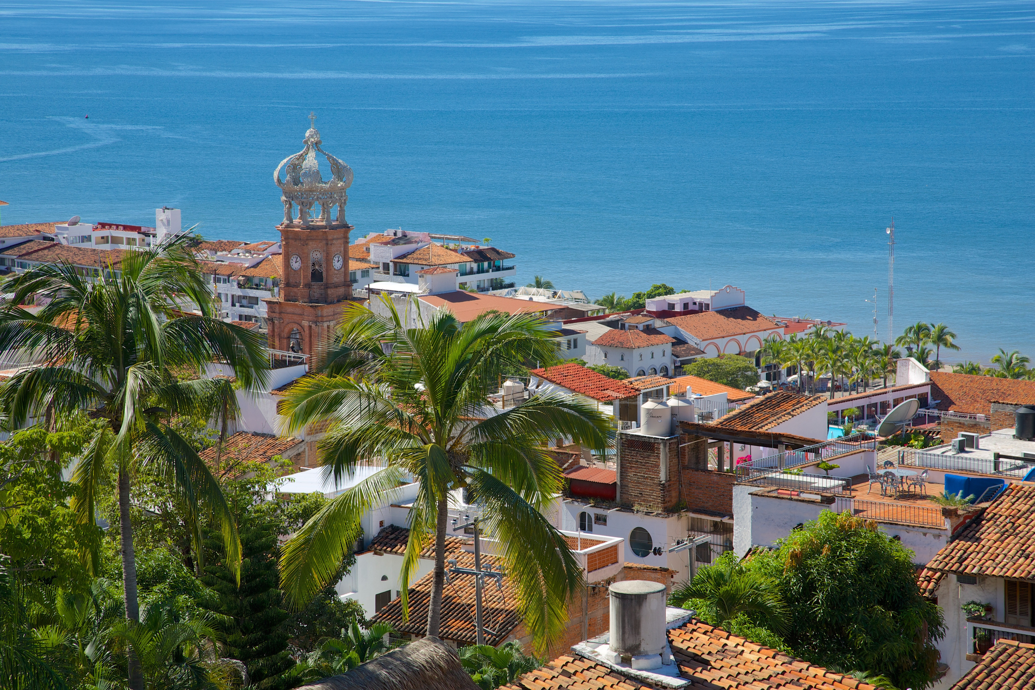 Immerse Yourself in Puerto Vallarta
