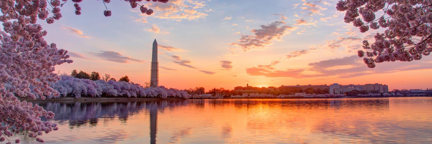 Vacation Escapes in the USA